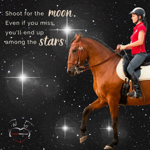 ⭐ADVANCED 3.0 - Treue-Edition 2025/2026 🐎