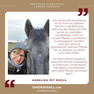 ⭐ADVANCED 3.0 - Treue-Edition 2025/2026 🐎