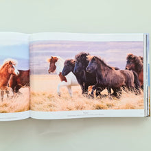 Laden Sie das Bild in den Galerie-Viewer, Fotobuch: Lebensgefühl Island von Eva Frischling
