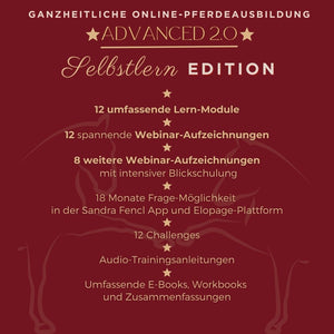 ADVANCED 2.0 - Selbstlern-Edition 2023-2024