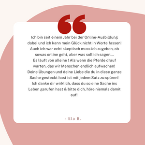 Gesundheitsförderndes Bodenarbeits-Onlineseminar: JUBILÄUMS-Edition - Dein ganzheitliches Videoseminar