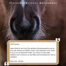 Laden Sie das Bild in den Galerie-Viewer, 🐎 Special-Angebot: PferdeFAIRsteher Onlinekurs 2.0 😍
