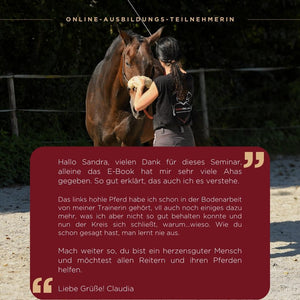 🐎 Special-Angebot: PferdeFAIRsteher Onlinekurs 2.0 😍