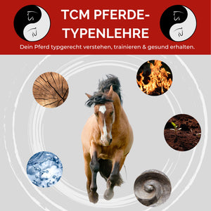 TCM Pferde-Typenlehre plus Webinar-Aufzeichnung